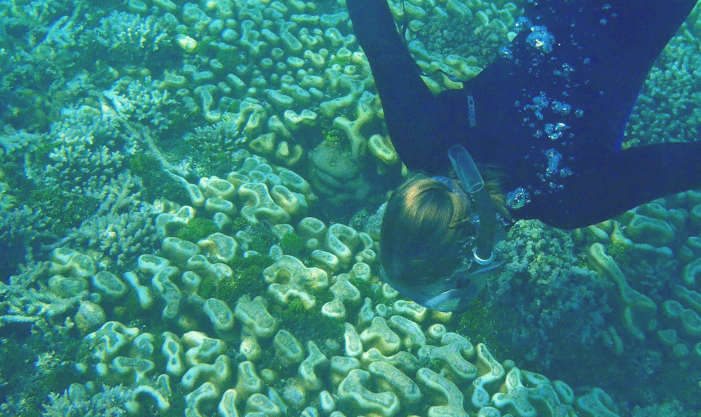 Woman snorkeling underwater